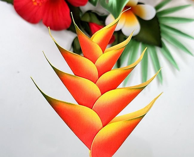 13 - Heliconia e Folhagem tropial Arquivo de Corte Flor Heliconia - Imagem 1
