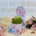 Arquivo Dia das Mães Porta suculenta