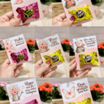 Arquivo Card Bombom
