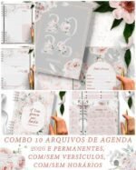 Arquivo Coleção Believe 2026