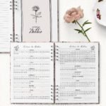 Arquivo Planner Pioneira 2025 á 2026 - Imagem 6