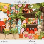 Kit Digital ALOHA