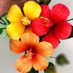 Arquivo de corte Flor hibisco