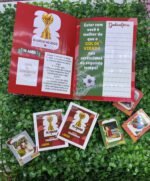 Arquivo Dia dos Namorados Livro de Figurinhas Copa - Imagem 9