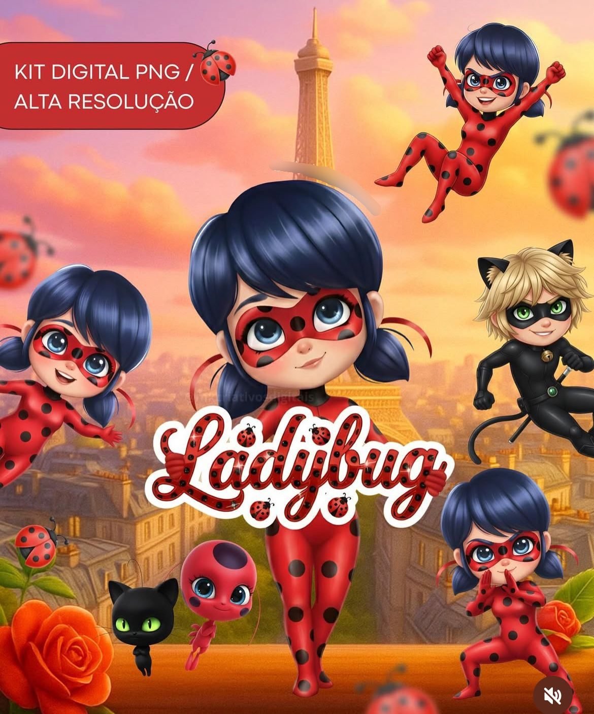 Ladybug Kit Digital Ladybug - Imagem 1
