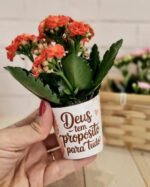 Arquivo Rótulo Suculenta - Imagem 5