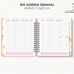 Arquivo Big Agenda Visão Semanal 2026