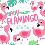 Kit Digital Flamingo
