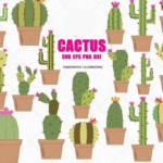 Kit Digital Cactus