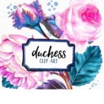 Kit Digital Duquesa