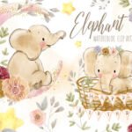 Kit Digital Elefante Baby