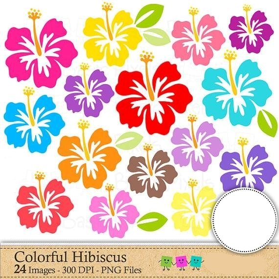 Flor Hibisco Colorido Kit Digital Flor de Hibiscos - Imagem 1