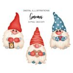 Kit Digital Gnomes