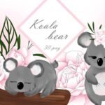 Kit Digital Koala