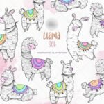 Kit Digital Llama