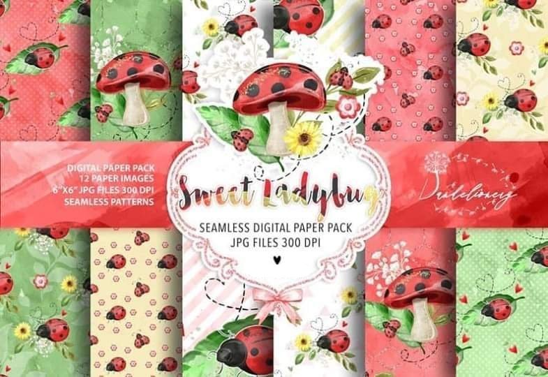 Sweet ladybug pp Kit Digital Papeis Joaninha - Imagem 1