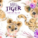 Kit Digital Tigre Baby