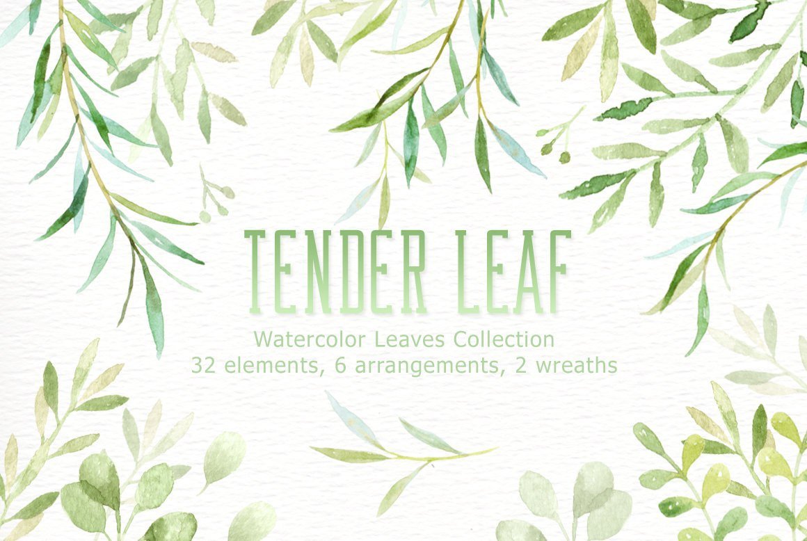 Tender Leaf Kit Digital Folhas - Imagem 1