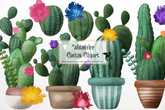 Watercolor-Cactus-Clipart-6220640 Kit Digital Cactus Clipart - Imagem 1