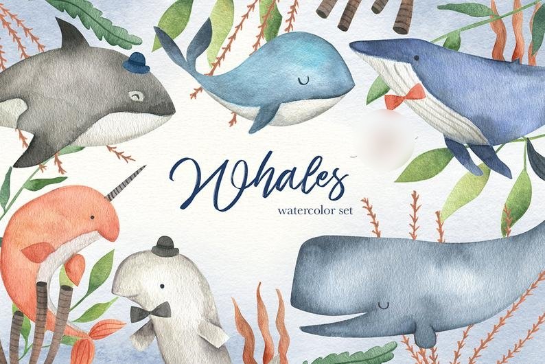 Whales-Flora_Bear Arquivo Kit Digital Baleias Aquarela - Imagem 1