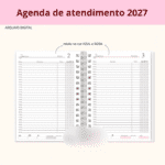Arquivo Agenda Paciente 2027 - Imagem 4