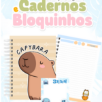 Arquivo Coleção Cadernos e Bloquinhos