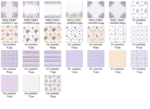 Kit Digital Floral Lavanda - Imagem 3