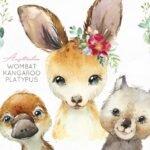 Kit Digital Animais da Australia