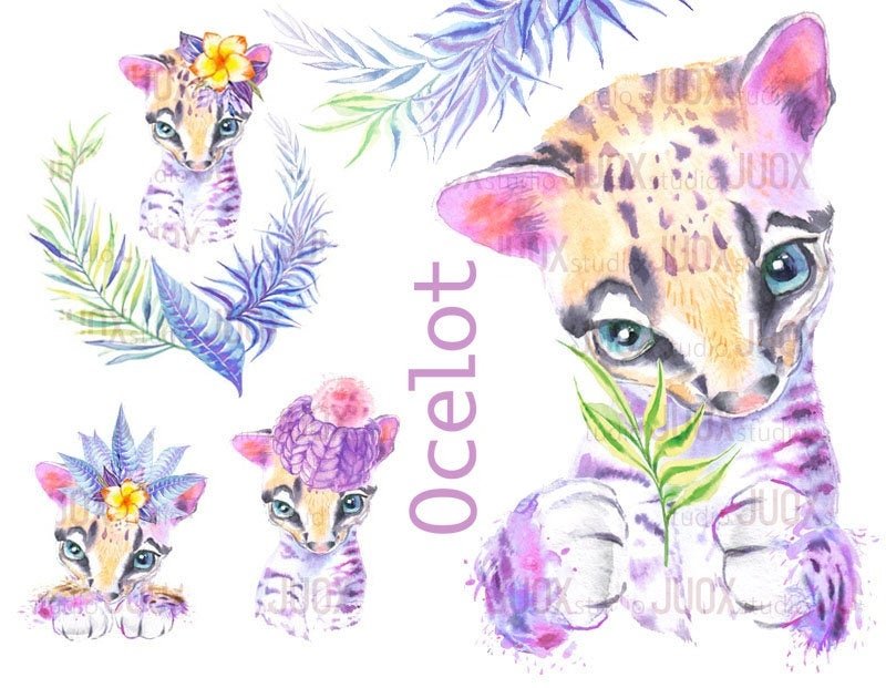 Baby ocelot Arquivo Kit Digital Filhote de Jaguatirica Fofo - Imagem 1