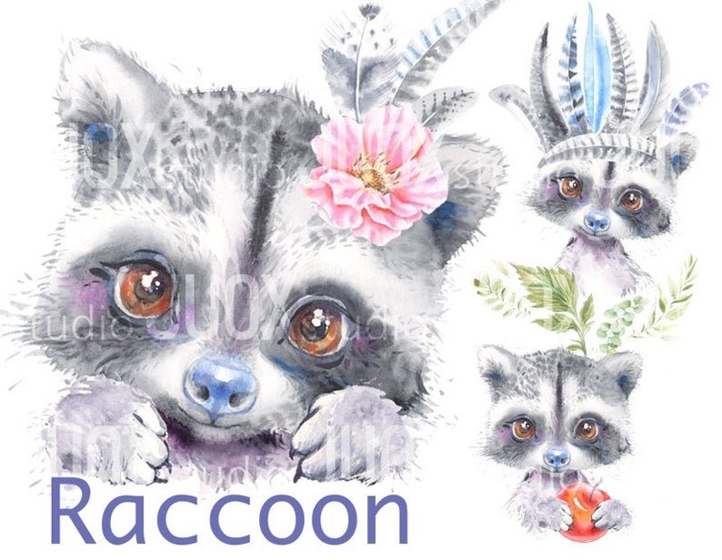 Baby raccoon Arquivo Kit Digital Filhote de Guaxinim Fofo - Imagem 1