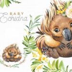 Kit Digital Baby Ornitorrinco