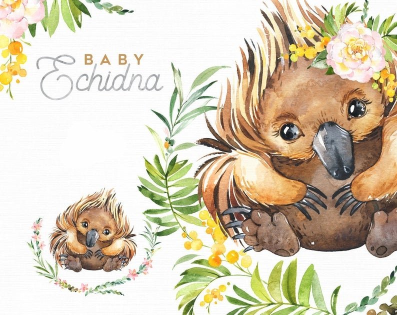 BabyEchidna Kit Digital Baby Ornitorrinco - Imagem 1