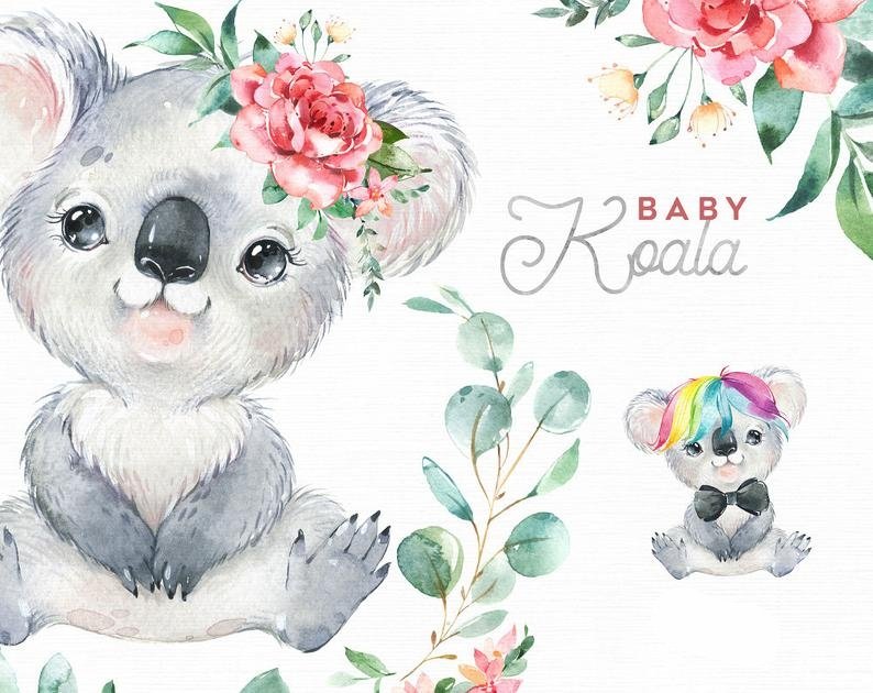 BabyKoala Kit Digital Koala Baby - Imagem 1