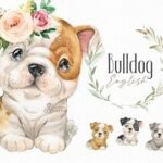 Kit Digital Bulldog Cachorro