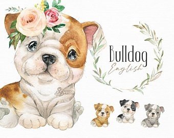 Bulldog Kit Digital Bulldog Cachorro - Imagem 1