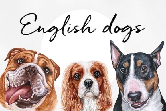 CACHORROS - ENGLISH DOGS - PETS Kit Digital FILHOTES CÃES INGLESES - CACHORROS - Imagem 1
