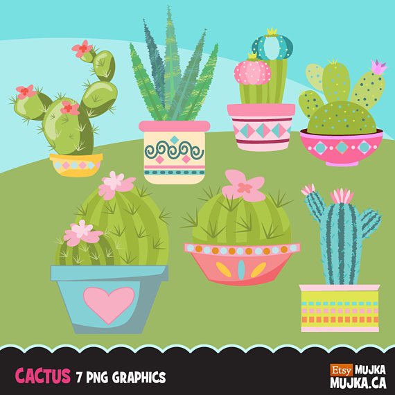 Cactus MUJKA Kit Digital Cactus - Imagem 1