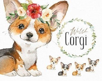 Corgi Kit Digital Minha Cachorra Corgi Fofinho - Cadela - Imagem 1