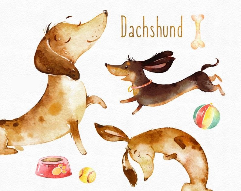 Dachshund-Octopus Kit Digital Cachorra Salsicha Fofinha - Dachshund - Imagem 1