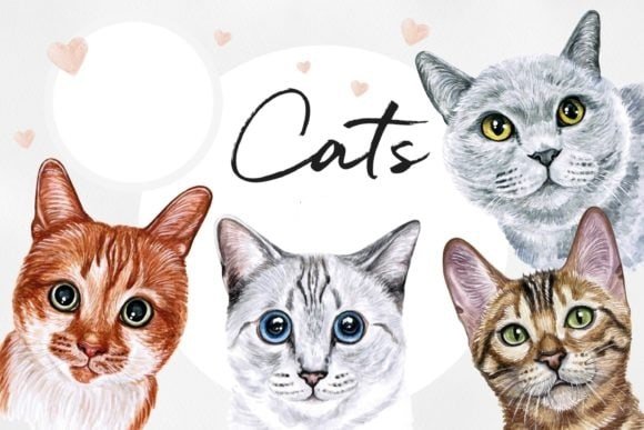 GATOS - CATS - PETS Kit Digital Gatos - Imagem 1