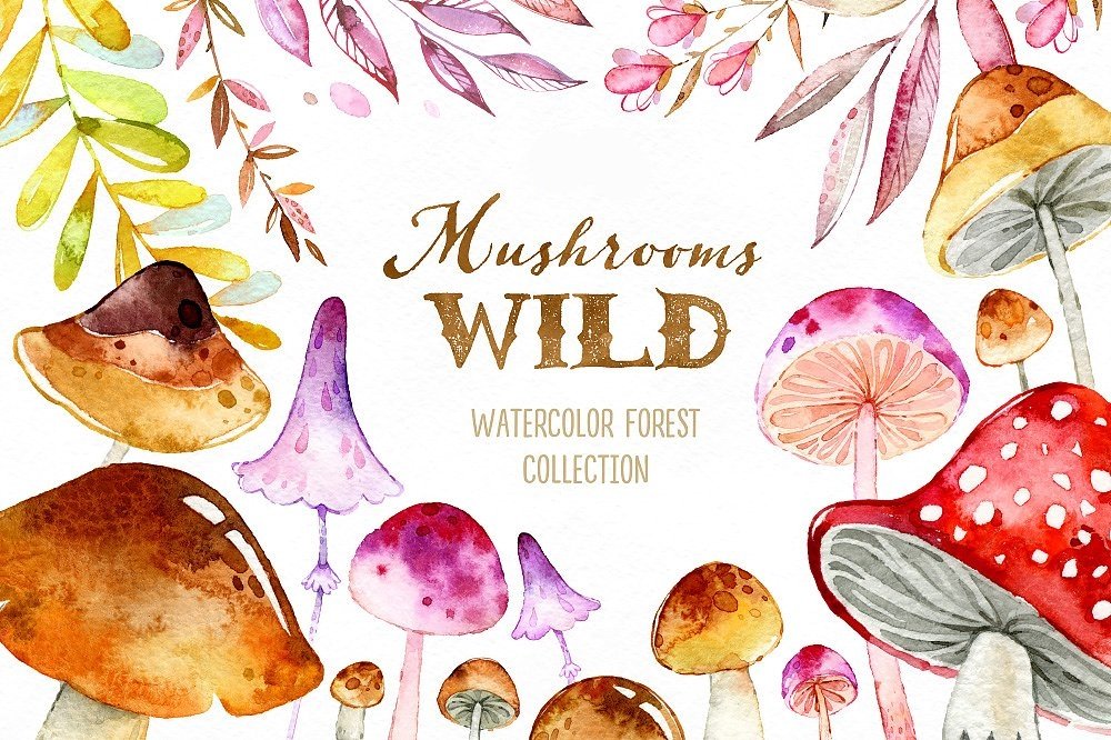 Mushrooms Wild-Octopus Kit Digital Cogumelos Selvagem - Imagem 1