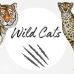 Kit Digital Dia dos Namorados - Onça e Tigre