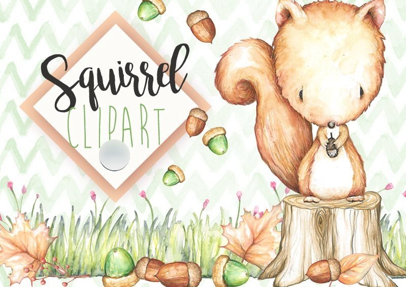 Squirrel Clipart Kit Digital Esquilo Clipart - Imagem 1
