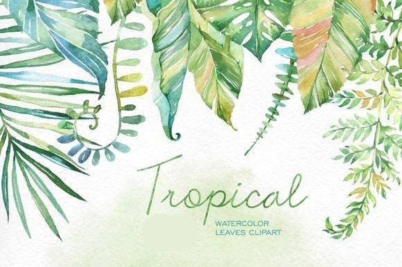 Tropical-Octopus Kit Digital Folhas Tropical - Imagem 1