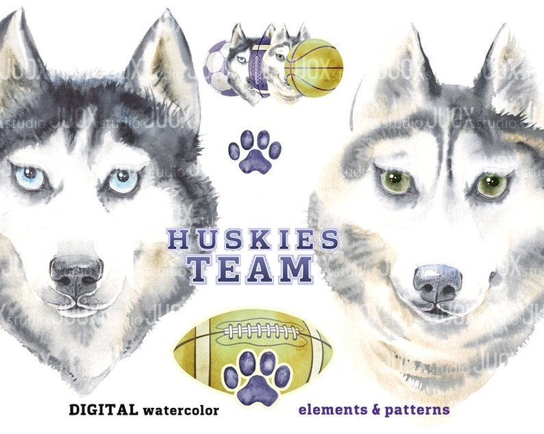 huskie team Arquivo Kit Digital Cachorro Husky Siberiano - Imagem 1