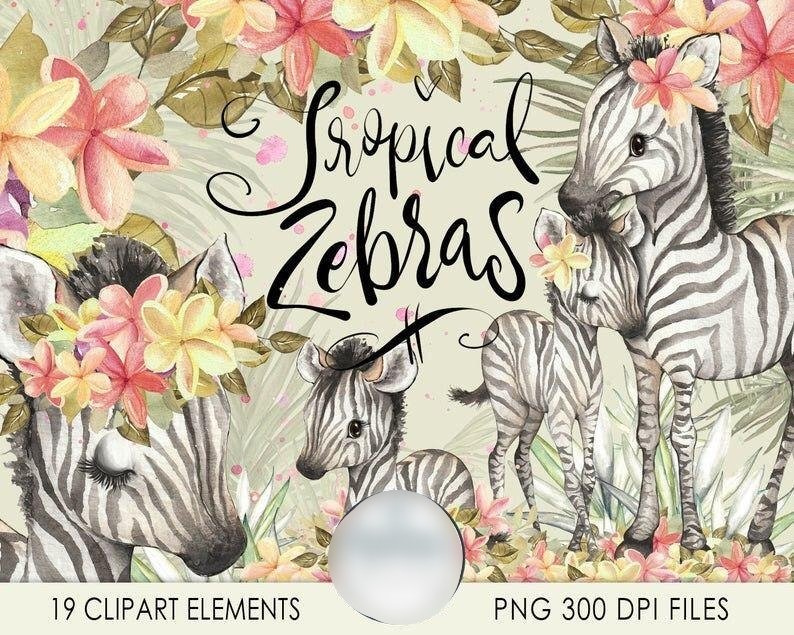 zebras Kit Digital Zebras - Imagem 1