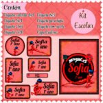 Arquivo Etiqueta Escolar Ladybug