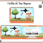 Arquivo Cartão SUS Raposinha