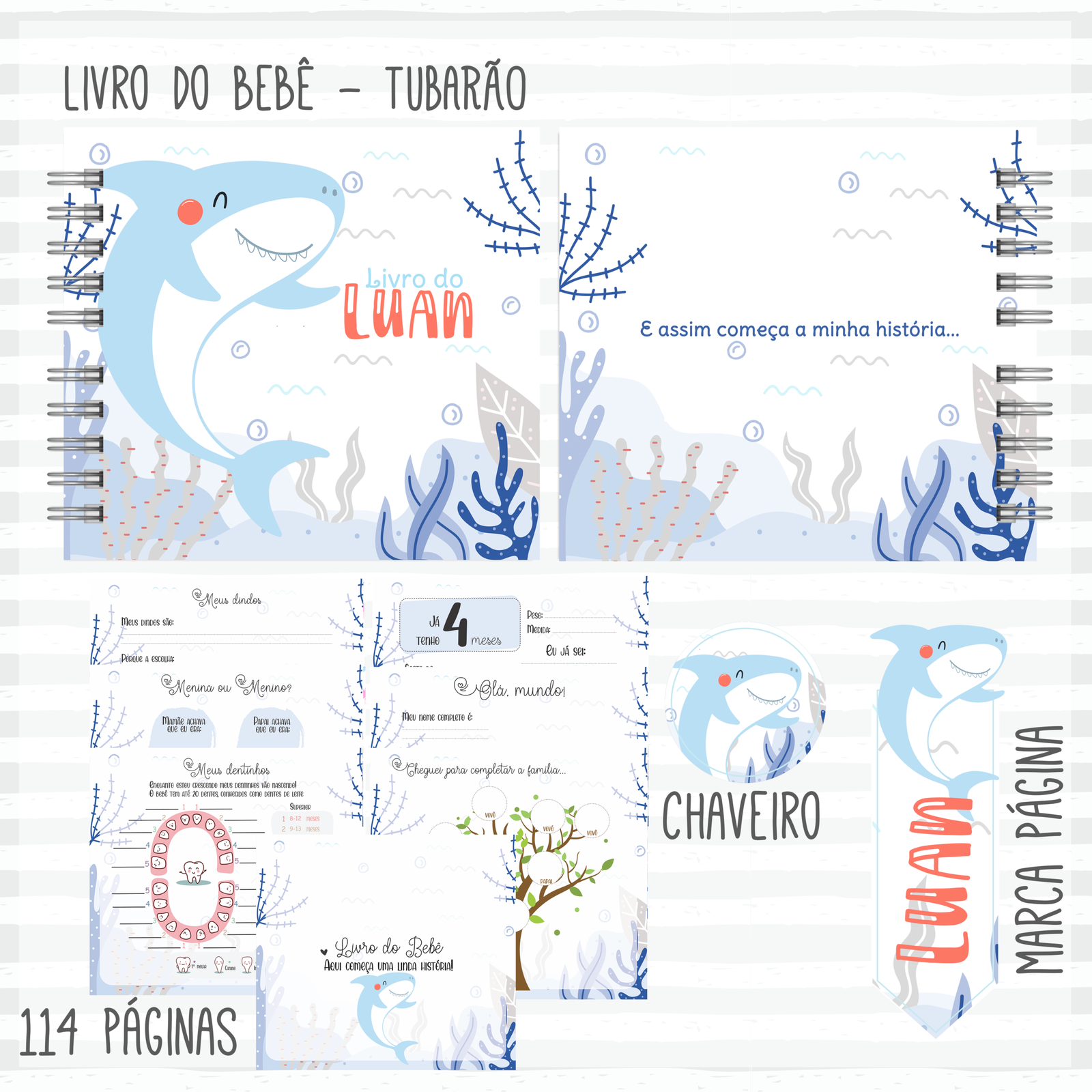 6 - Tubarão Arquivo Encadernação Baby Tubarão - Imagem 1