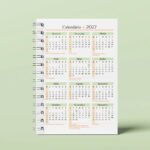 Arquivo Miolo Insert Calendario A5 2027 - 2028 - Imagem 2